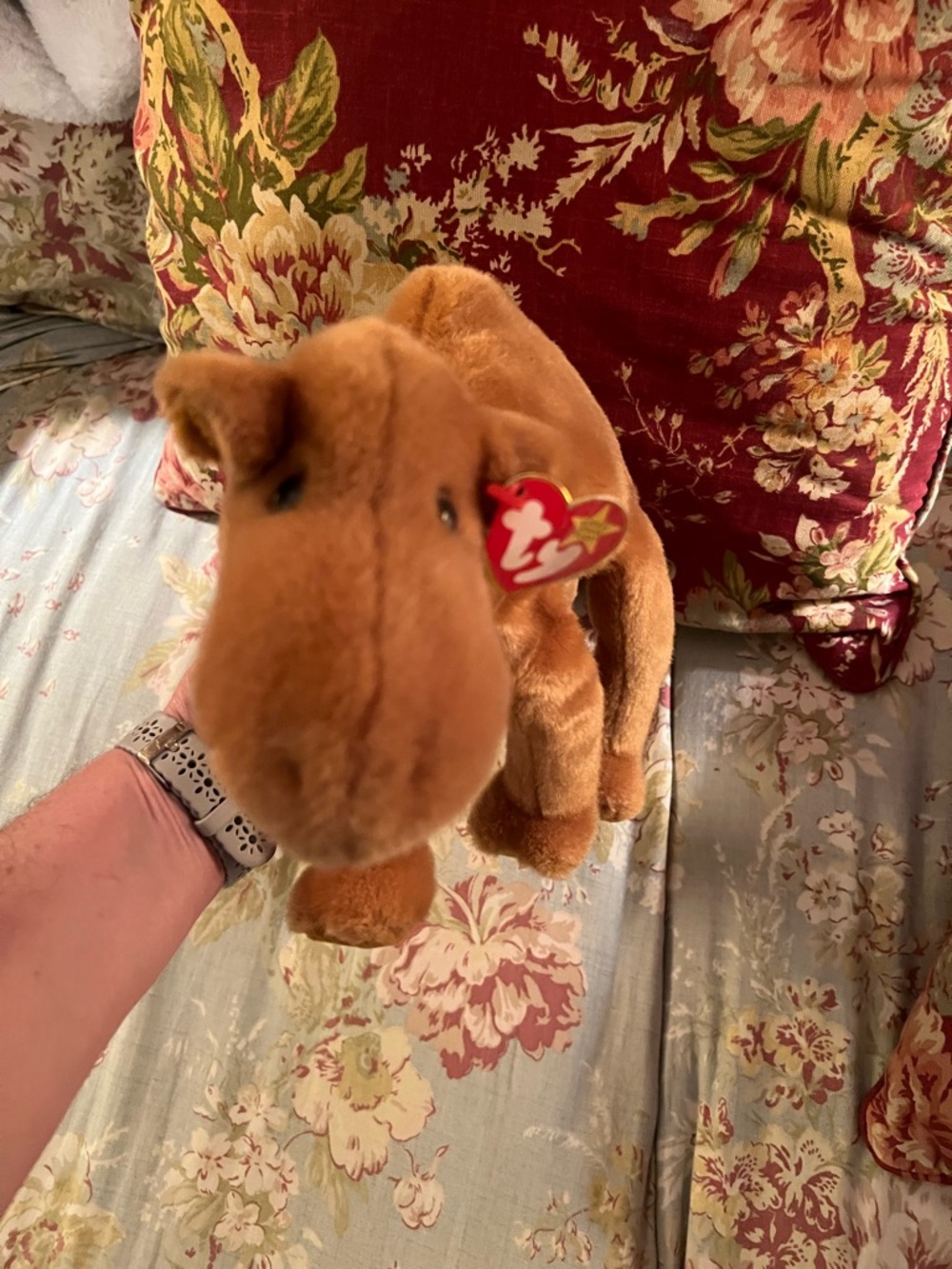 Ty Plush Camel in Warm Brown with Heart Tag Humphrey Camel